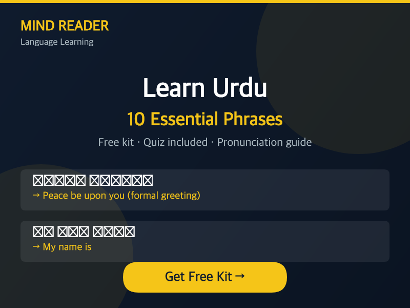 Urdu phrase kit cover